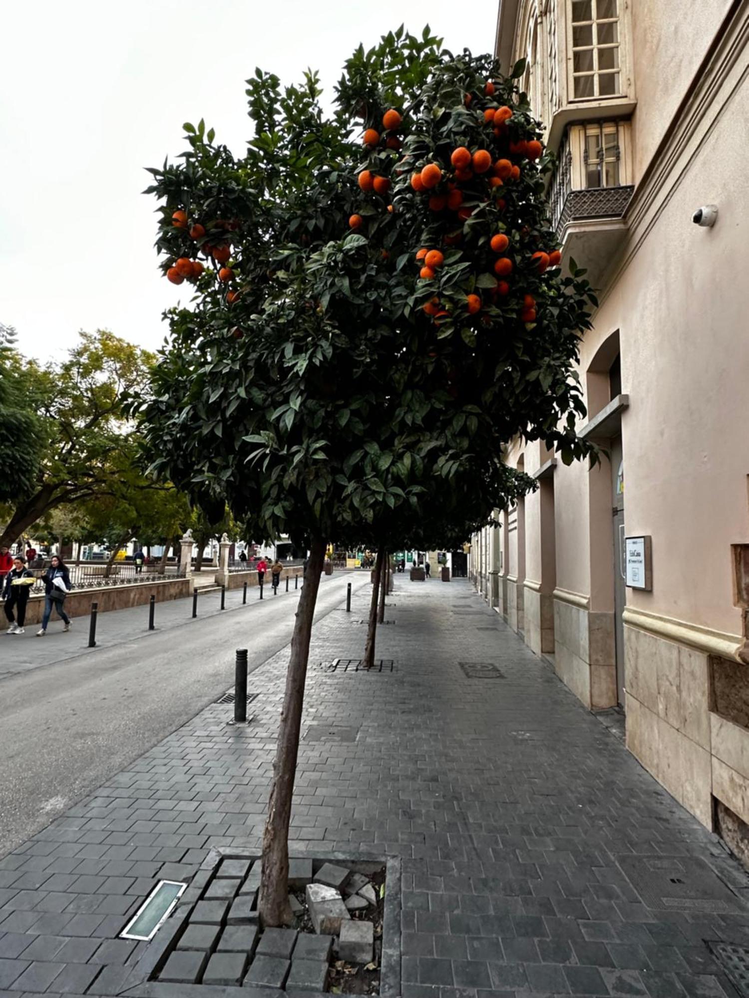 Malaga'S Secret Διαμέρισμα Εξωτερικό φωτογραφία